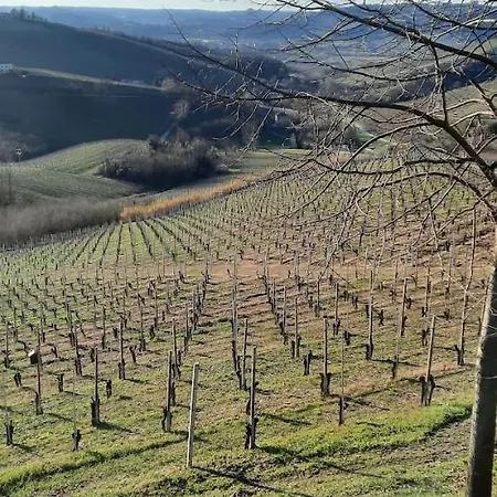 Ca Trifolera Barbaresco Apartament Nelle Langhe - Degustazione Vini Nella Nostra Cantina Exterior foto