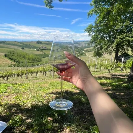 Ca Trifolera Barbaresco Apartament Nelle Langhe - Degustazione Vini Nella Nostra Cantina Exterior foto