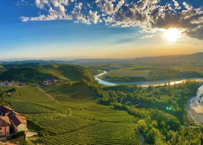 Ca Trifolera Barbaresco Apartament Nelle Langhe - Degustazione Vini Nella Nostra Cantina
