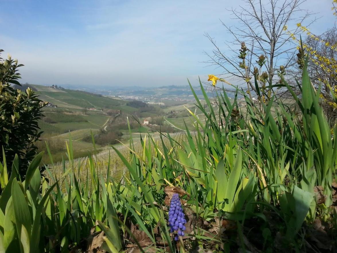 Ca Trifolera * Barbaresco