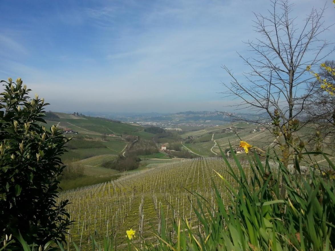 Ca Trifolera Apartment Barbaresco