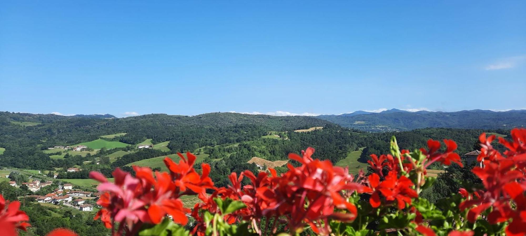 Ca Trifolera Barbaresco