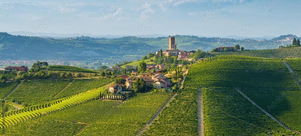 Ca Trifolera * Barbaresco